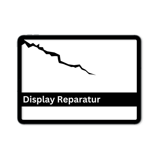 Apple iPad Air 2 (A1566/A1567) - Glas-Display Reparatur